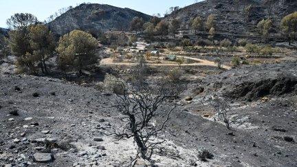 Vista del área calcinada en el municipio almeriense de Béda, afectado por el incendio.