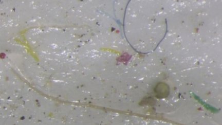 Se detectan microplásticos en el hielo del Ártico