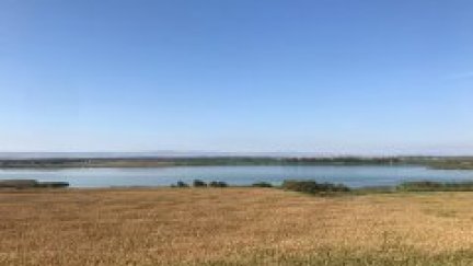 Laguna de Sariñena: los efectos de las olas de calor en el entorno