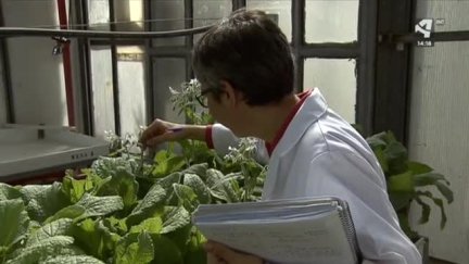 El Instituto Tecnológico de Aragón con el desarrollo rural
