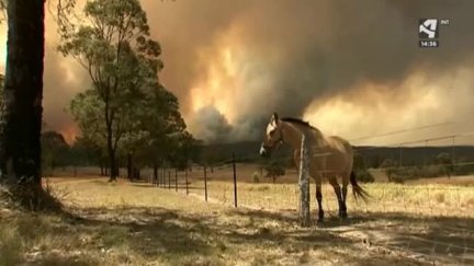 Australia en llamas