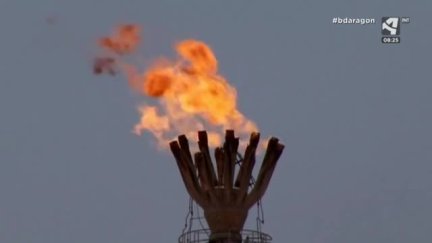 Cambio climático: aumento de los gases de efecto invernadero