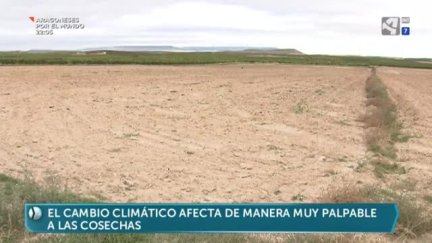 La huella del cambio climático en el campo aragonés