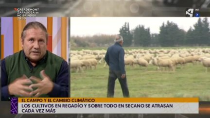 Cómo afecta el cambio climático a la agricultura y a la ganadería (y II)