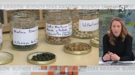 La gran labor del CITA (III)