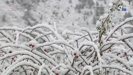 El futuro de nuestra Tierra (II): El cambio climático en el Pirineo