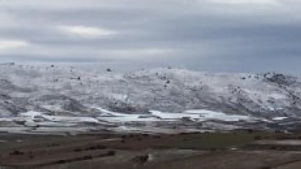 ¿Cómo afecta el temporal de lluvia y nieve a los cultivos?