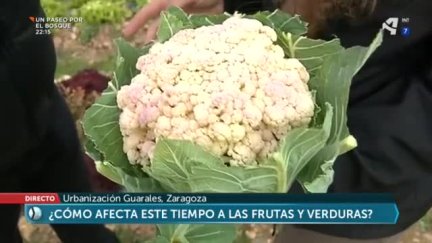 El cambio climático y el campo