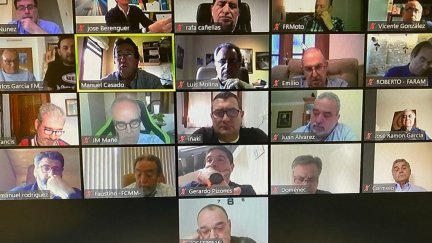 Reunión telemática de la FARAM.