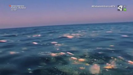 Plásticos en el mar