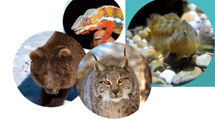 Reabren Lacuniacha y el Acuario
