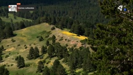 Montes Universales (I)
