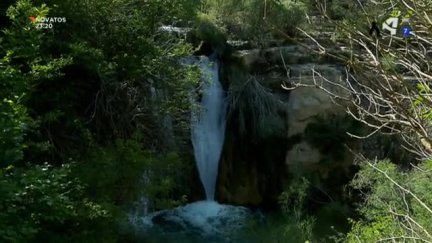 Montes Universales (III)