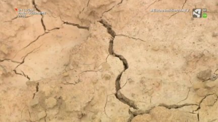 Día Mundial de la lucha contra la desertificación y la sequía
