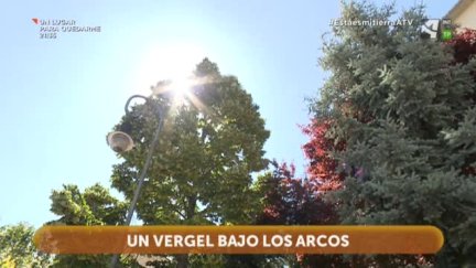 Un vergel bajo los arcos