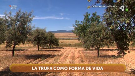 Razones para quedarse