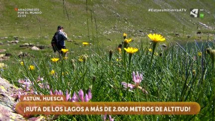 Ruta de los lagos
