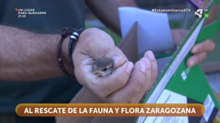 Unidad Verde