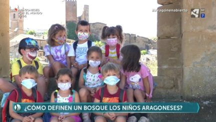 Baños de bosque (I)