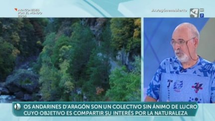 Baños de bosque (II)