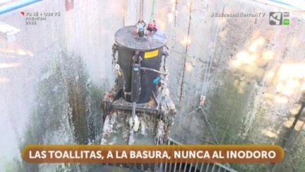 ¡Nunca al inodoro!