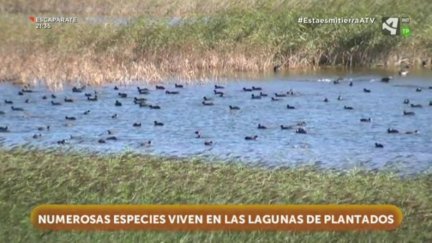 Lagunas de Plantados