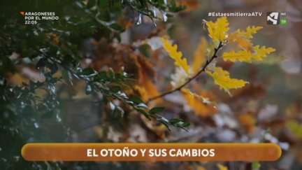 El Otoño y sus cambios
