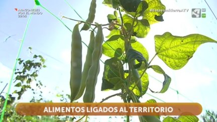 Alimentos ligados al territorio