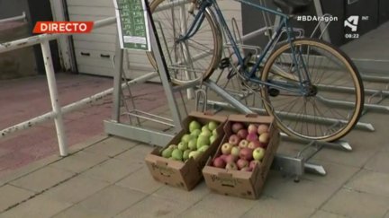 6º Día Mundial sin coches en la Universidad de Zaragoza
