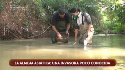Especies invasoras