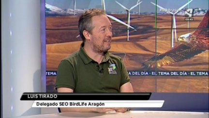 Racionalizar el impacto de los aerogeneradores (I)