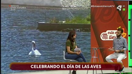 Día de las Aves