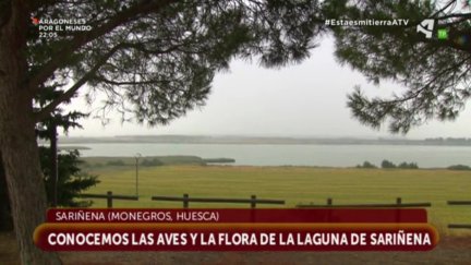 Laguna de Sariñena