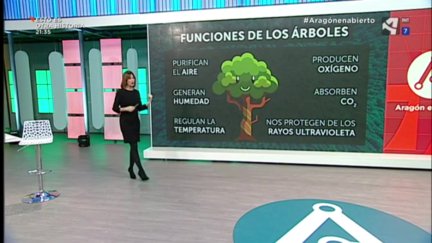 Replantación de árboles en Zaragoza