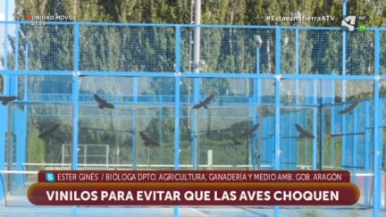 Vinilos que salvan vidas