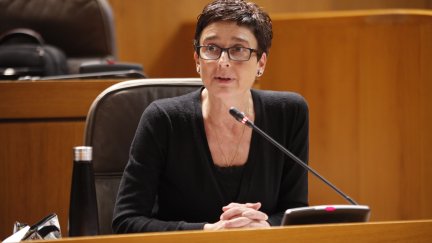 La diputada del PP en Aragón, Ana Marín