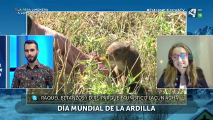 Día Mundial de la ardilla