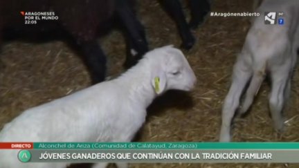Tradición familiar