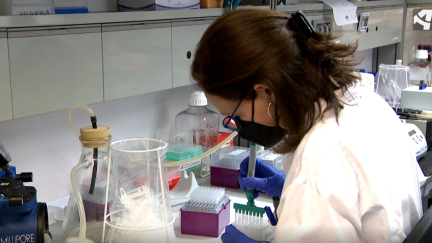 Laboratorio sin gente