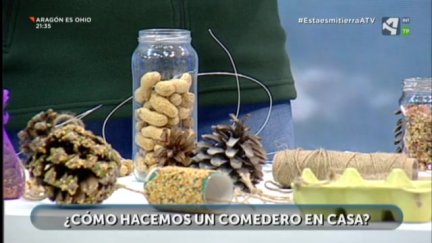 Aves en invierno