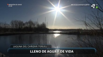 Humedales: agua y vida