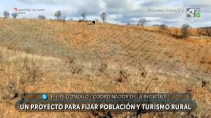 Frenar la pérdida del viñedo en el Valle del Jiloca