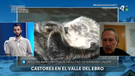 Buena salud ecológica