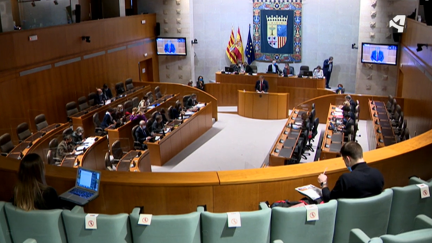 Cortes de Aragón en pleno