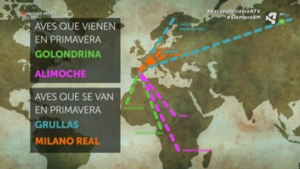 La migración de las aves
