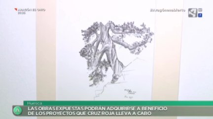 Los árboles de tinta: naturaleza y solidaridad