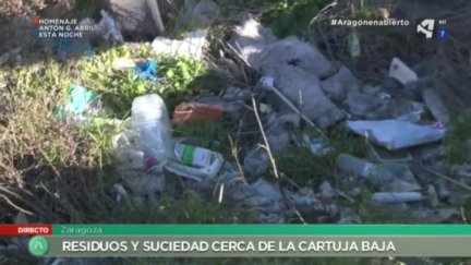 Basuraleza en La Cartuja Baja