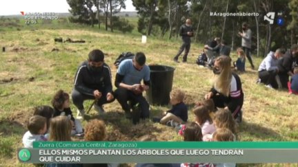 Los verán crecer