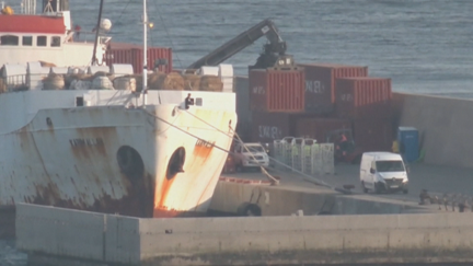 El buque que transporta los terneros está en el puerto de Cartagena