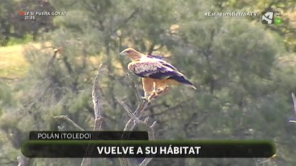 Vuelta a casa